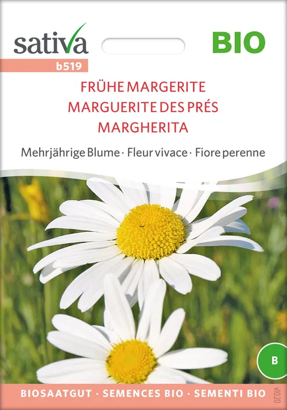 Sativa Biologische Meerjarige Bloem Early Daisy | Topproduct
