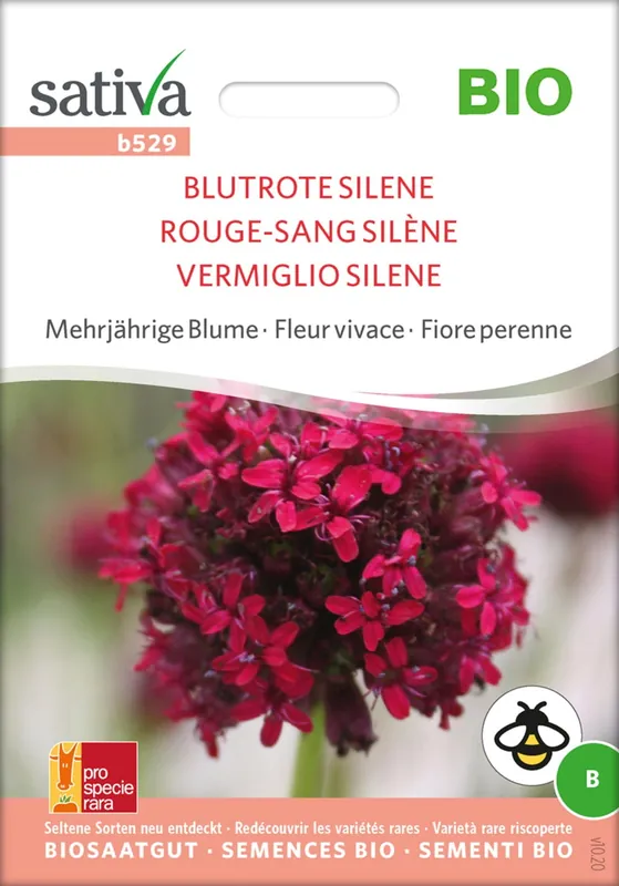 Sativa Biologische Meerjarige Bloem "Blutrote Silene" - Nieuw