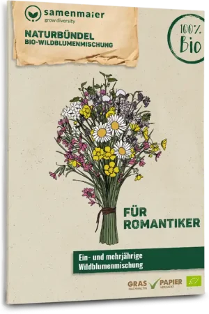 Samen Maier Biologische Wilde Bloemenmix "Natuurbundel" | Direct kopen