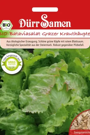 Dürr Samen Biologische Bataviasalade Grazer Krauthäuptel - Zolang de voorraad strekt