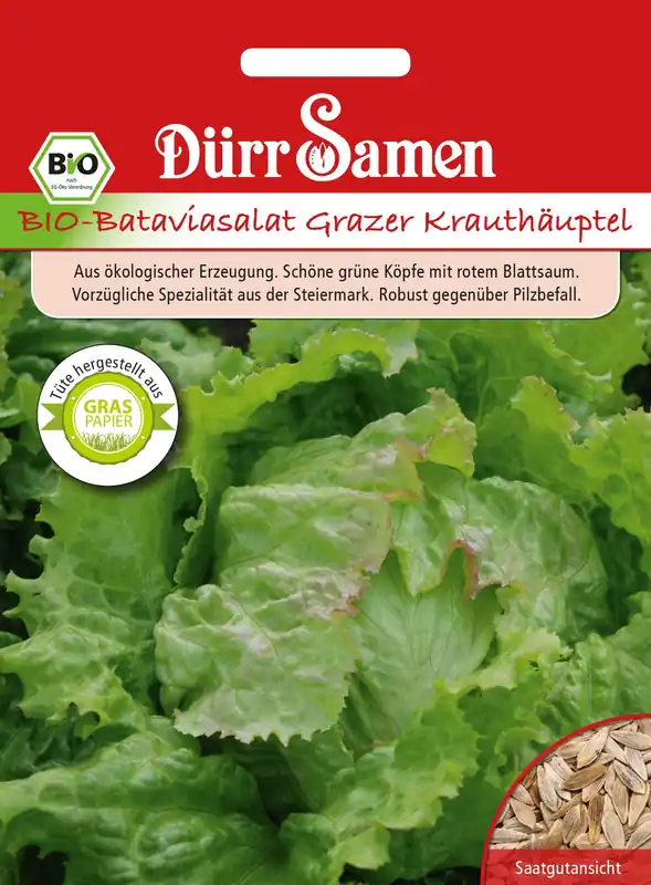 Dürr Samen Biologische Bataviasalade Grazer Krauthäuptel - Zolang de voorraad strekt