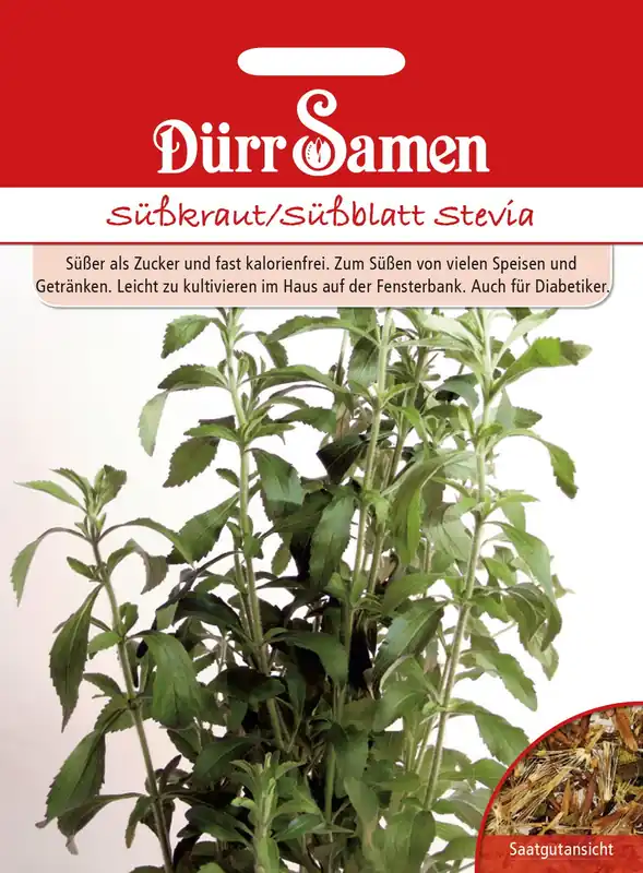 Lage prijs - Dürr Samen Zoete Kruiden Stevia