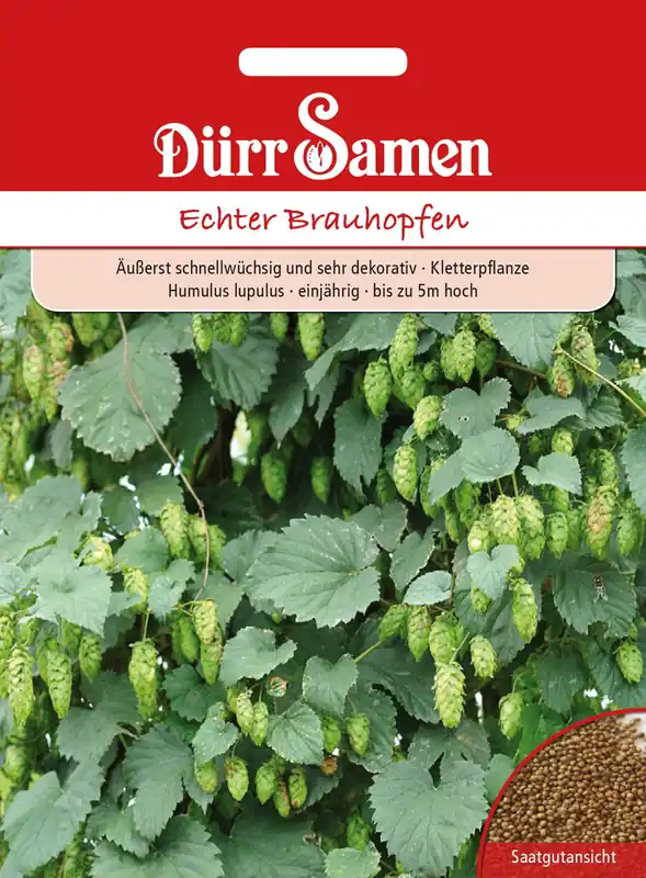 Bespaar meer | Dürr Samen Echte Brouwhop