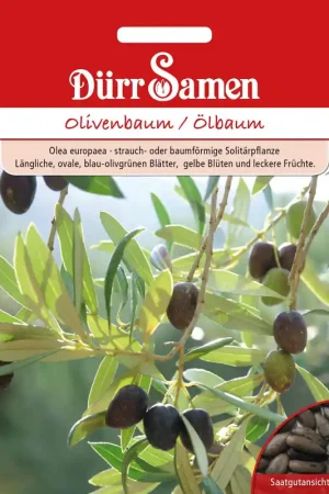 Mis het niet - Dürr Samen Olijfboom