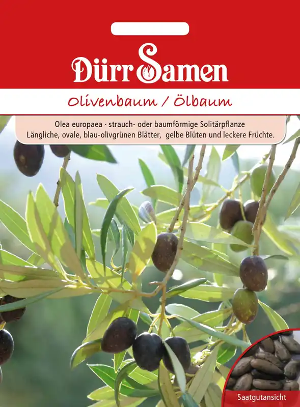 Mis het niet - Dürr Samen Olijfboom