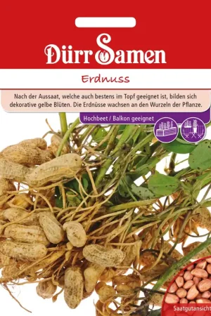 Beste prijs - Dürr Samen Pinda