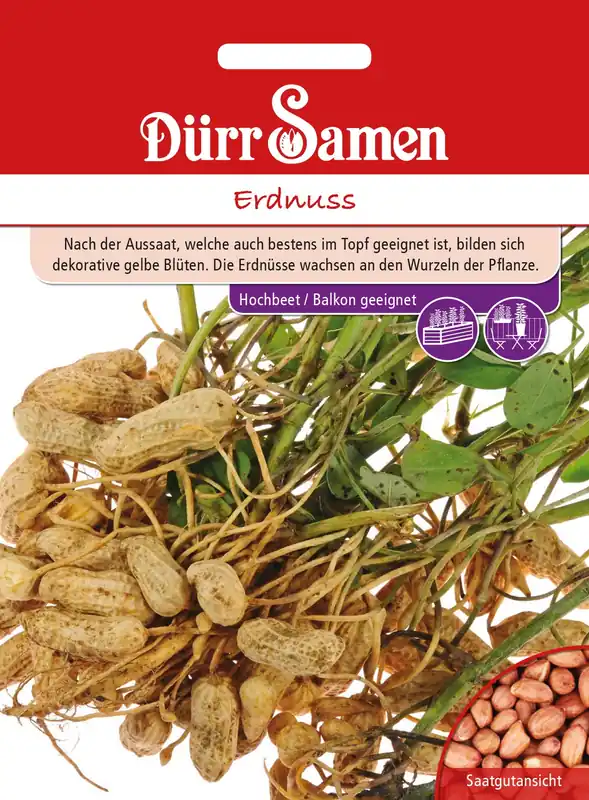 Beste prijs - Dürr Samen Pinda