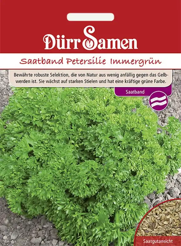 Verlaagde prijs - Dürr Samen Groenblijvende Peterselie Zaadband