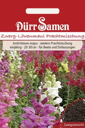 Klantfavoriet - Dürr Samen Dwergleeuwenbek