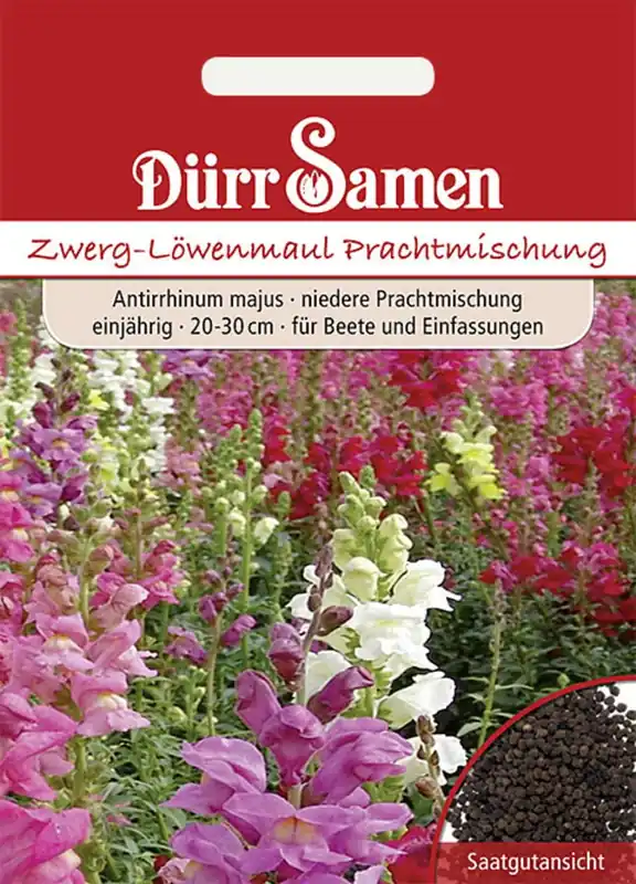 Klantfavoriet - Dürr Samen Dwergleeuwenbek