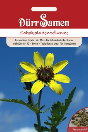Nieuw binnengekomen - Dürr Samen Chocolade Plant