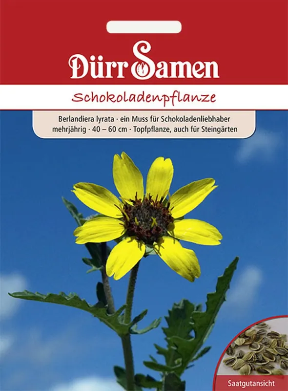Nieuw binnengekomen - Dürr Samen Chocolade Plant
