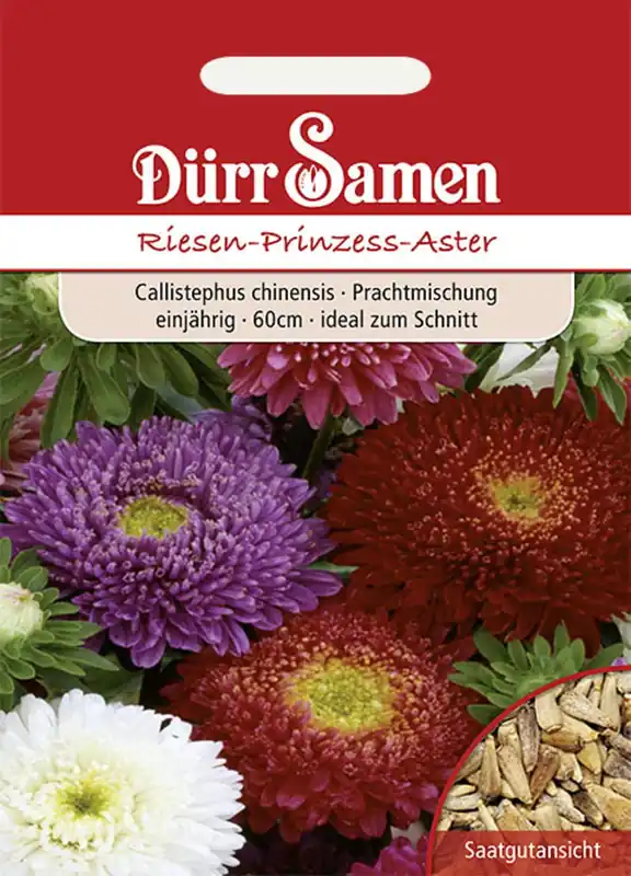 Dürr Samen Reuzen Prinsessen Aster | Online bestelbaar