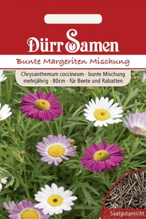 Dürr Samen Kleurrijke Madeliefjes | Veel gevraagd