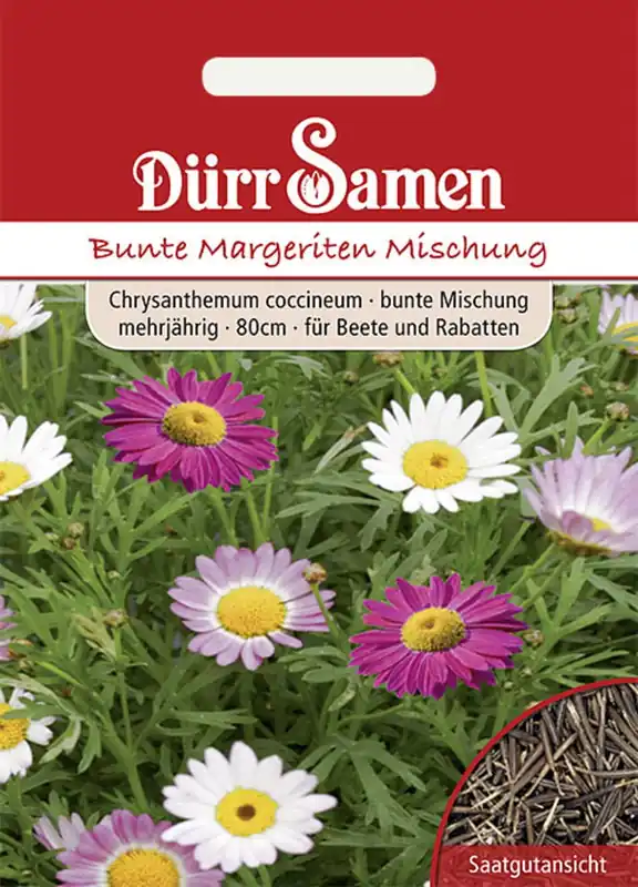 Dürr Samen Kleurrijke Madeliefjes | Veel gevraagd