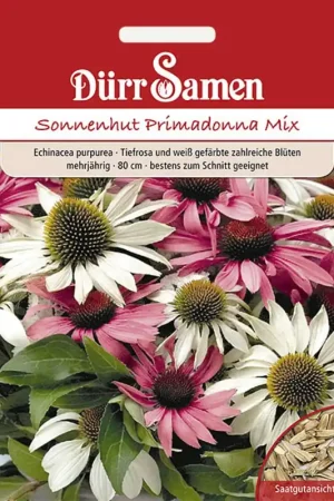 Rechtstreeks van de fabrikant | Dürr Samen Echinacea Primadonna Mix