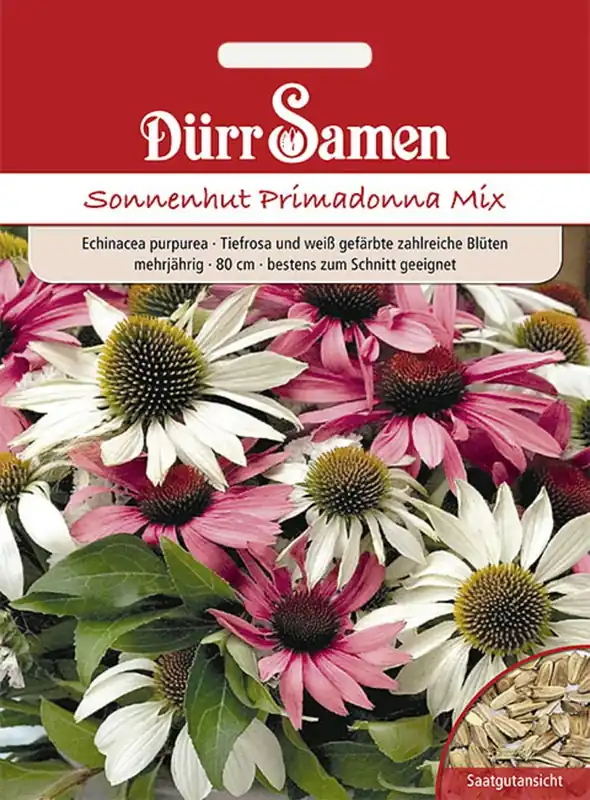 Rechtstreeks van de fabrikant | Dürr Samen Echinacea Primadonna Mix