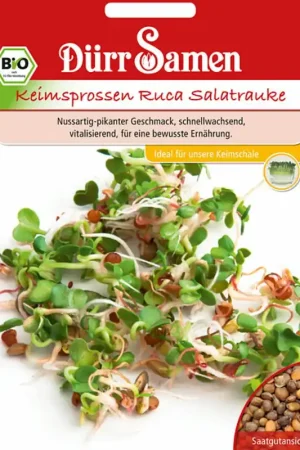 Populair | Dürr Samen Biologische Kiemgroente Ruca Rucola, 75 g