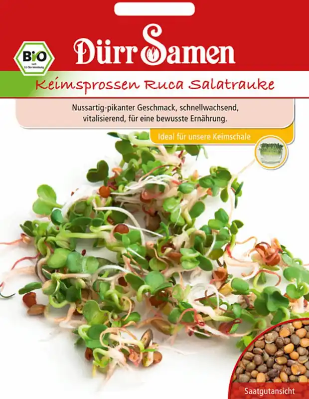 Populair | Dürr Samen Biologische Kiemgroente Ruca Rucola, 75 g