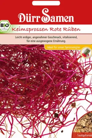 Dürr Samen Biologische Kiemgroente Bieten - Net binnen