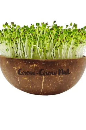 Grow-Grow Nut Microgreens Starterspakket - Klaar voor verzending