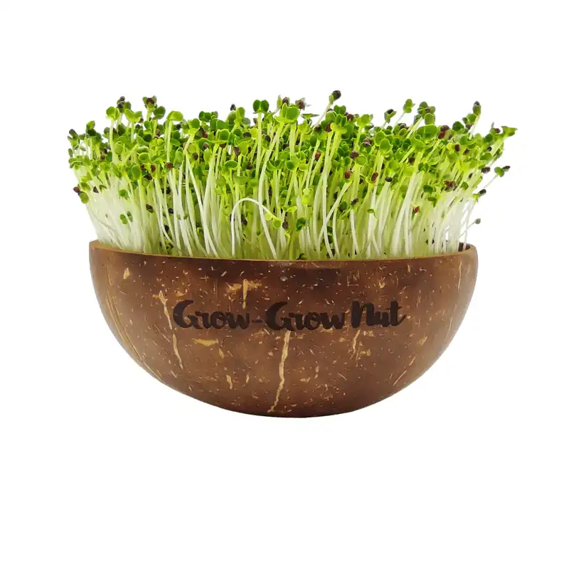 Grow-Grow Nut Microgreens Starterspakket - Klaar voor verzending