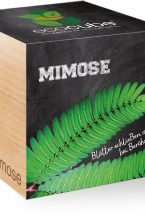 Koopje | Feel Green ecocube Mimosa