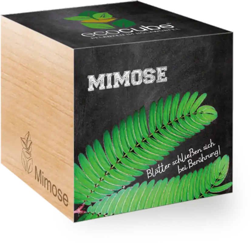 Koopje | Feel Green ecocube Mimosa