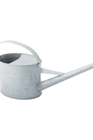 Bespaar meer - Esschert Design Gieter 1,6 L - Zink