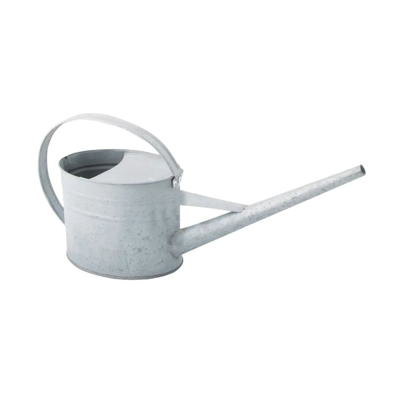 Bespaar meer - Esschert Design Gieter 1,6 L - Zink
