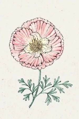Uitverkoop | Jora Dahl Slaapmutsje Thai Silk Apple Blossom Eschscholzia californica
