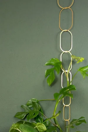 Aanbieding - Botanopia Steun voor Klimplanten, Messing