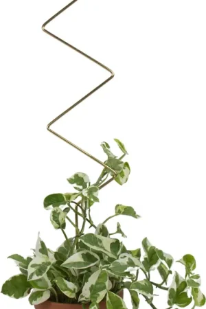 Online kopen | Botanopia Plantensteun, Arch