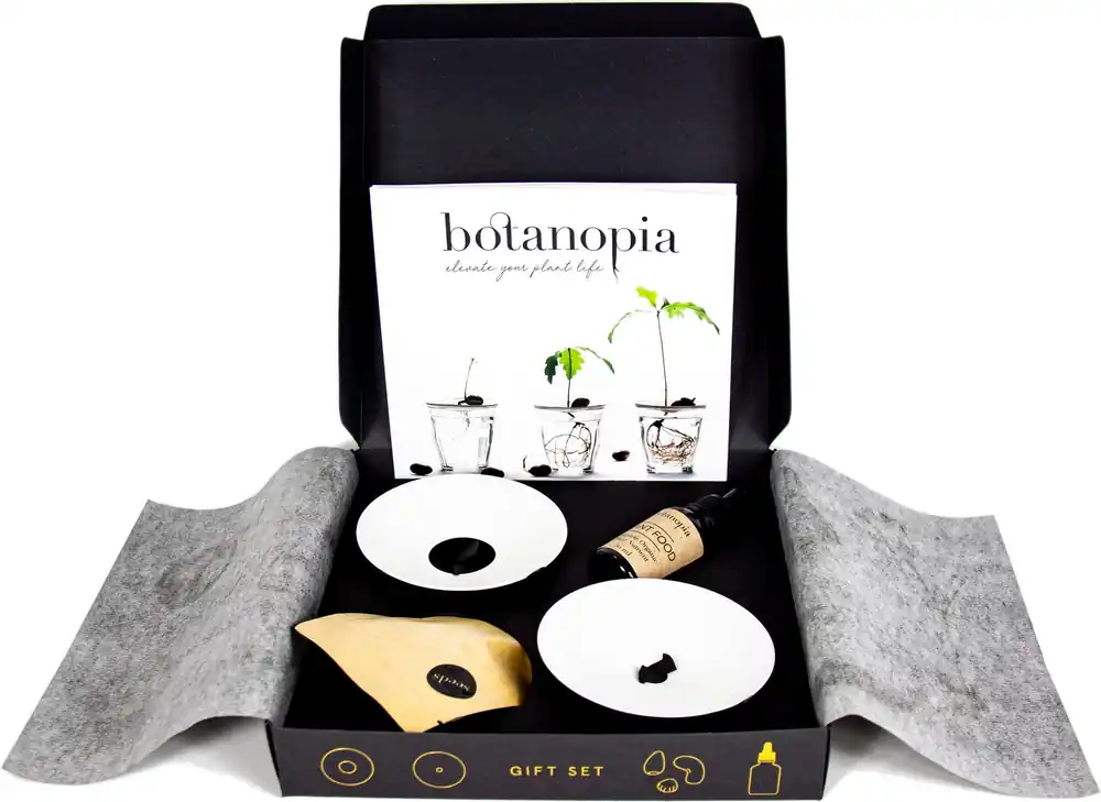 Goed beoordeeld - Botanopia Luxe Kiem- en Vermeerderingsset