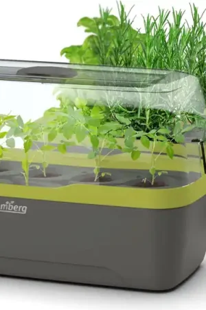 Uitverkoop | Romberg Kweektray & Plantenbak BoQube L, Antraciet-Zomergroen