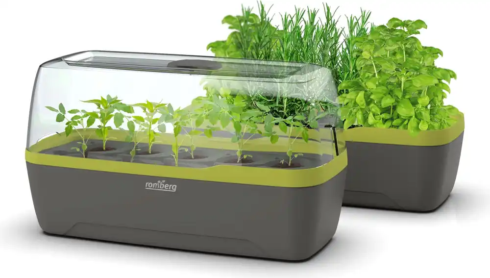 Uitverkoop | Romberg Kweektray & Plantenbak BoQube L, Antraciet-Zomergroen