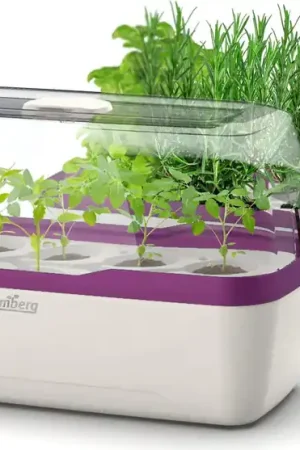 Romberg Kweektray & Plantenbak BoQube L, Wit-Pruim | Klaar voor verzending