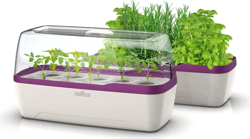 Romberg Kweektray & Plantenbak BoQube L, Wit-Pruim | Klaar voor verzending