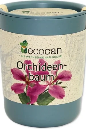 Nieuwe release | Feel Green ecocan Orchideeënboom