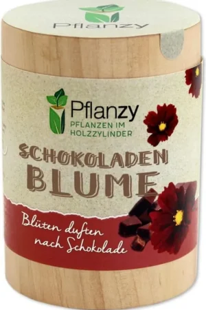 Aanbieding - Feel Green Pflanzy Chocoladebloem