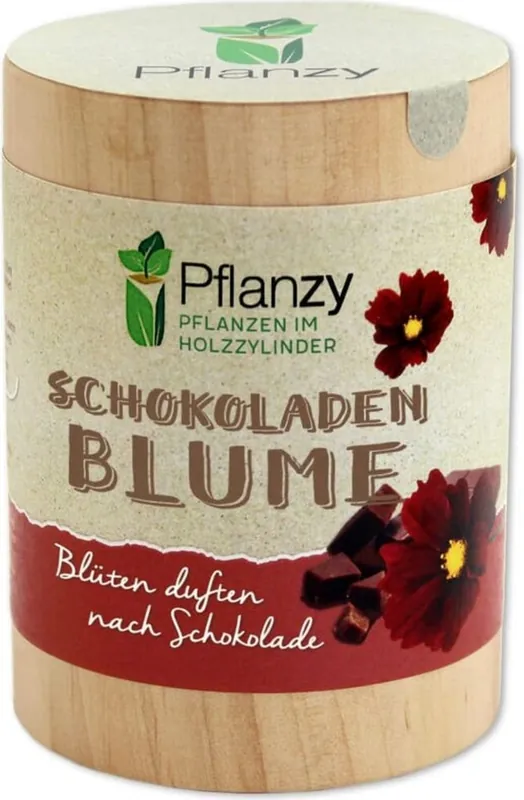 Aanbieding - Feel Green Pflanzy Chocoladebloem