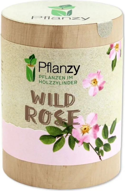 Bestelbaar - Feel Green Pflanzy Wilde Roos