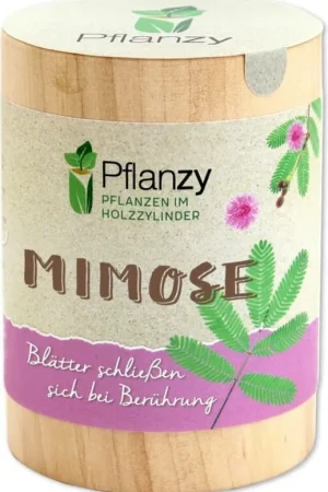 Shop nu | Feel Green Pflanzy Mimosa
