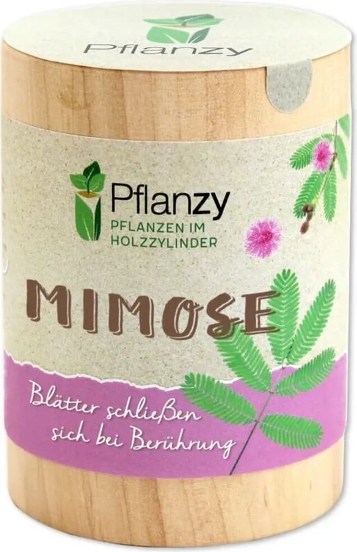 Shop nu | Feel Green Pflanzy Mimosa
