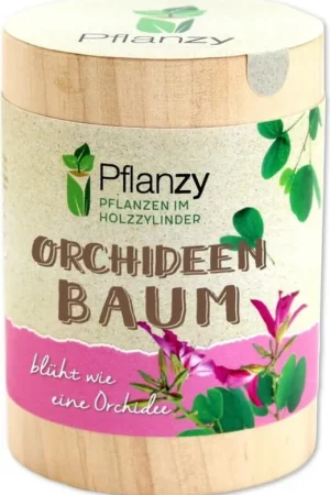 Deal - Feel Green Pflanzy "Orchideeënbaum"