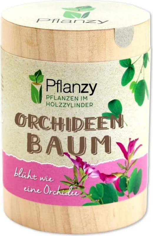 Deal - Feel Green Pflanzy "Orchideeënbaum"