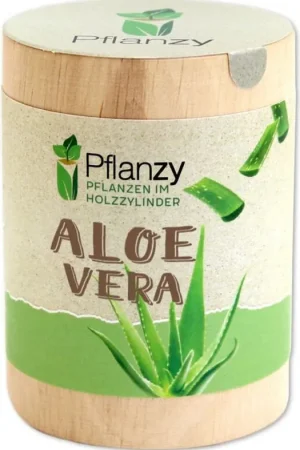 Snelle verzending - Feel Green Pflanzy Aloë Vera