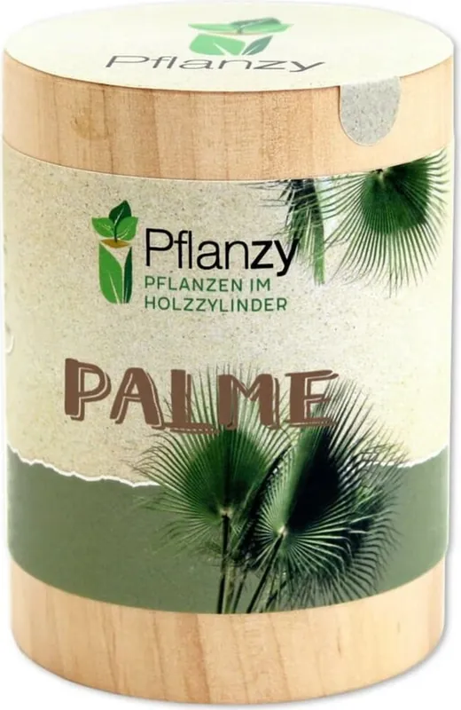 Feel Green Pflanzy "Palme" | Scherpe prijs