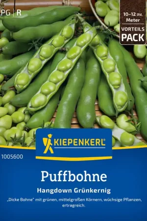 Direct beschikbaar - Kiepenkerl Tuinbonen "Hangdown Grünkernig"