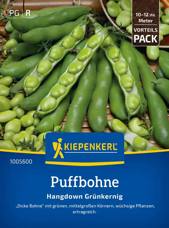Direct beschikbaar - Kiepenkerl Tuinbonen "Hangdown Grünkernig"